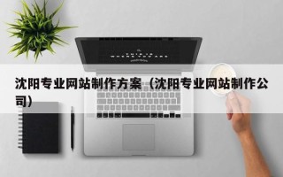 无棣沈阳专业网站制作方案（沈阳专业网站制作公司）